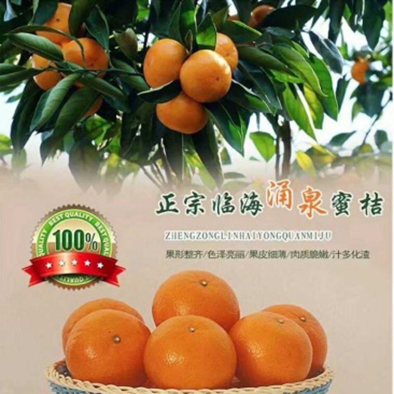 新鲜水果的挑选与保存指南