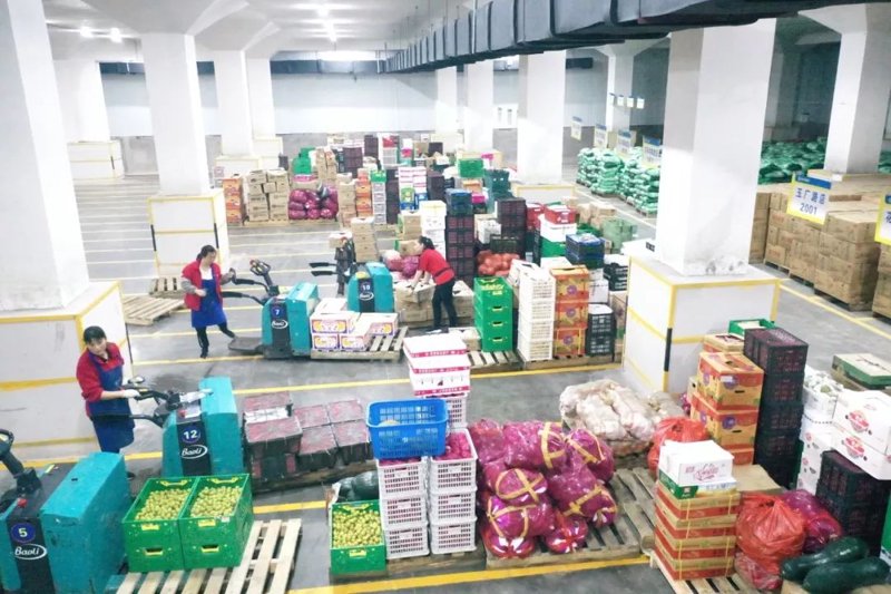 深度解析：为什么新鲜水果是健康饮食的关键
